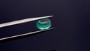 _DSC7022.webp