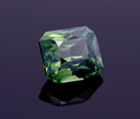 _DSC6963.webp