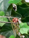 IMG_3216-600x800.webp