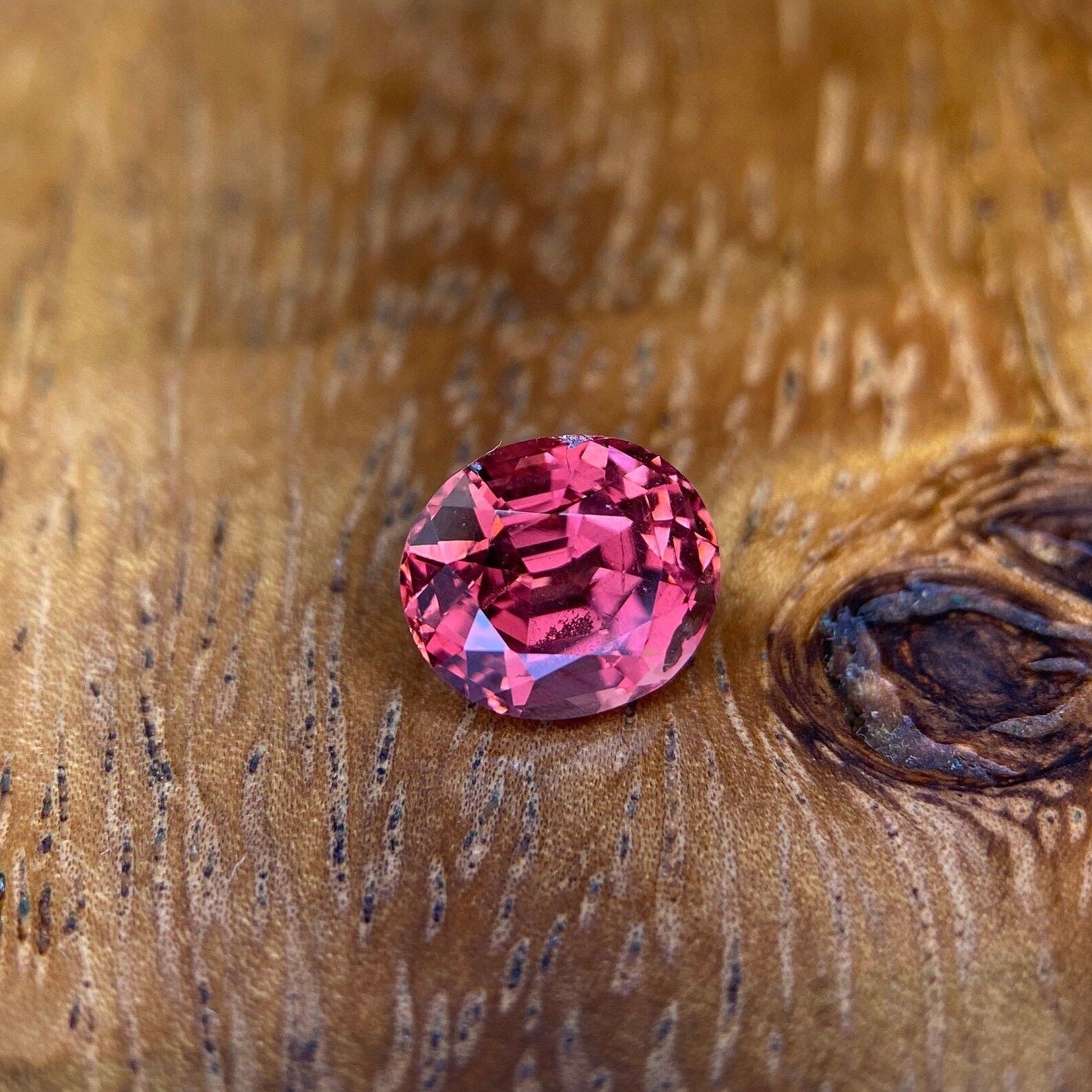 GARNET post thumbnail