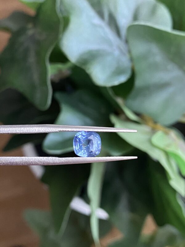 Unheated Blue Sapphire 1.5 Carats - Image 7